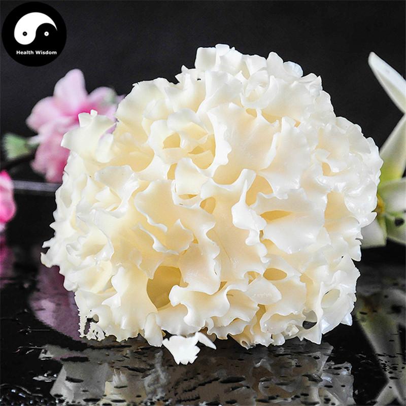 Sparassis Crispa, Dried Cauliflower Mushroom, Hanabiratake, Xiu Qiu Jun 绣球菌-Health Wisdom™