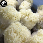 Sparassis Crispa, Dried Cauliflower Mushroom, Hanabiratake, Xiu Qiu Jun 绣球菌-Health Wisdom™