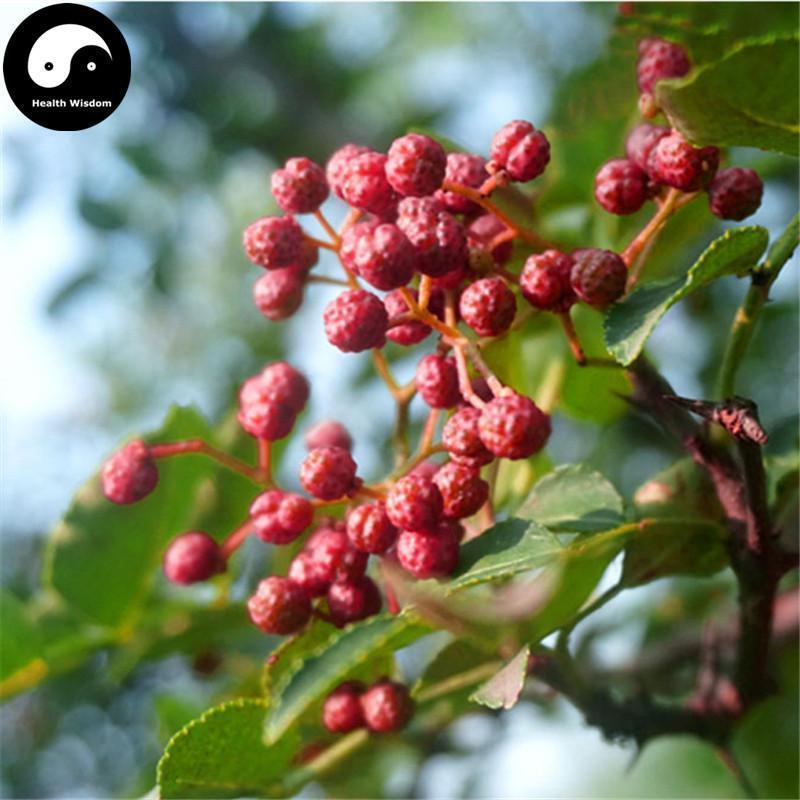 Spice Hua Jiao 花椒, Pericarpium Zanthoxyli, Red Pricklyash Peel, Chuan Jiao, Shu Jiao-Health Wisdom™