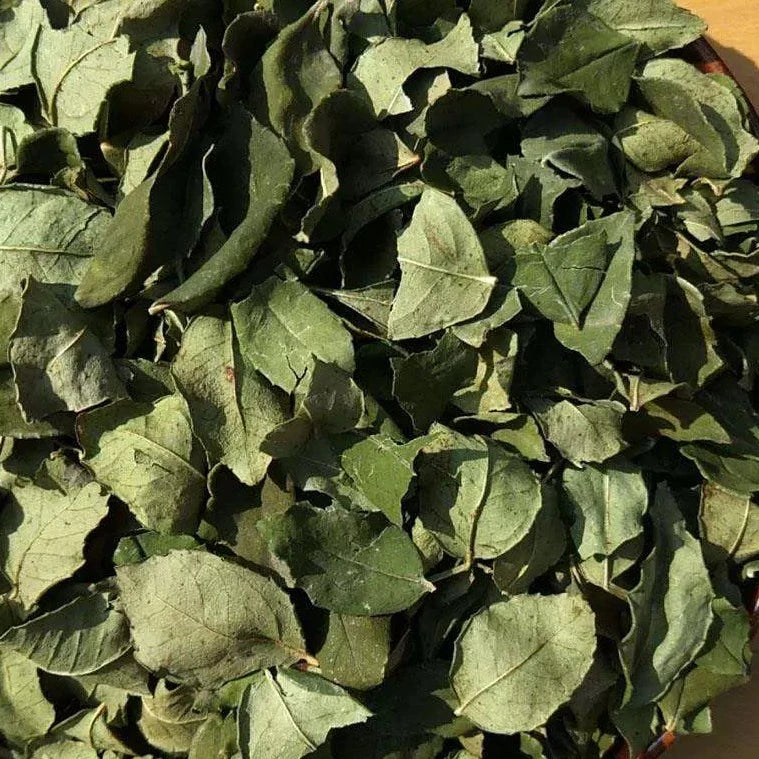 Spice Hua Jiao Sui Ye 花椒碎叶, Leaf Pericarpium Zanthoxyli, Pricklyash Leaves, Chuan Jiao, Shu Jiao-Health Wisdom™