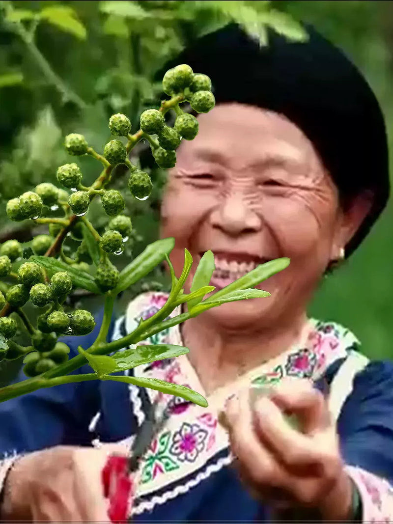 Spice Qing Hua Jiao 青花椒, Ma Jiao 麻椒, Pericarpium Zanthoxyli, Green Pricklyash Peel, Chuan Jiao, Shu Jiao, Teng Jiao-Health Wisdom™