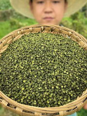 Spice Qing Hua Jiao 青花椒, Ma Jiao 麻椒, Pericarpium Zanthoxyli, Green Pricklyash Peel, Chuan Jiao, Shu Jiao, Teng Jiao-Health Wisdom™