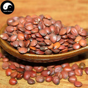 Suan Zao Ren 酸枣仁, Semen Ziziphi Spinosae, Spina Date Seed, Sour Jujube Seeds-Health Wisdom™
