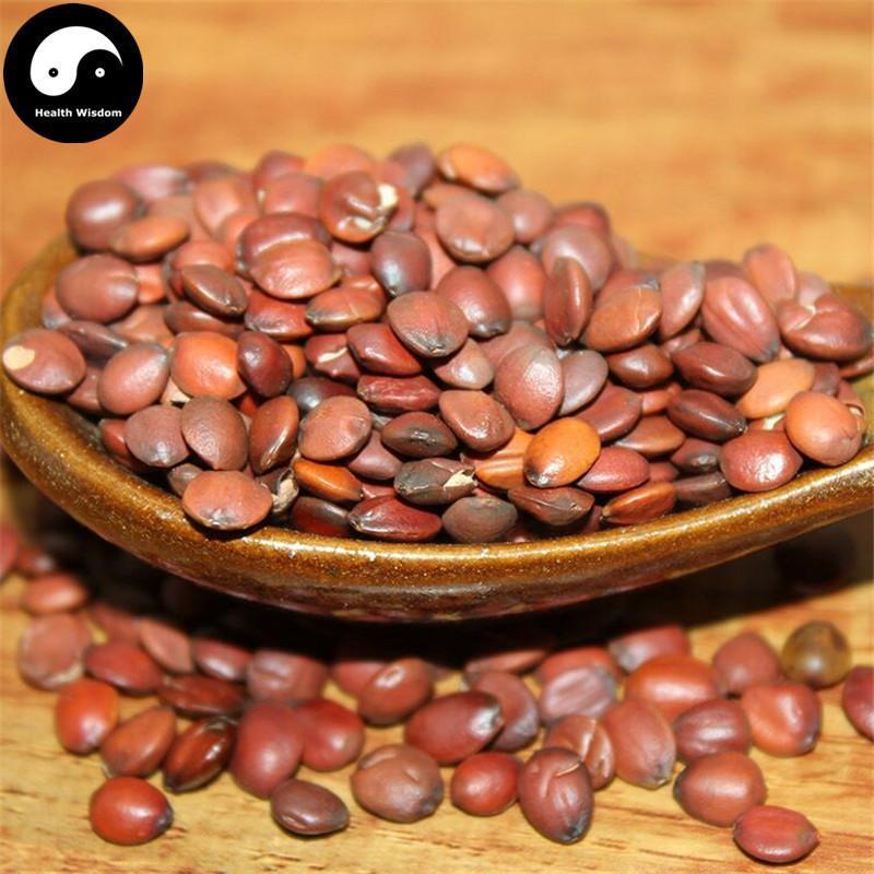 Suan Zao Ren 酸枣仁, Semen Ziziphi Spinosae, Spina Date Seed, Sour Jujube Seeds-Health Wisdom™