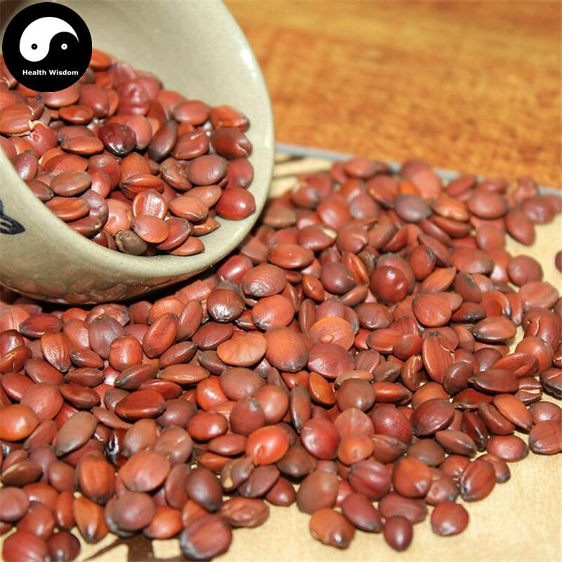 Suan Zao Ren 酸枣仁, Semen Ziziphi Spinosae, Spina Date Seed, Sour Jujube Seeds-Health Wisdom™