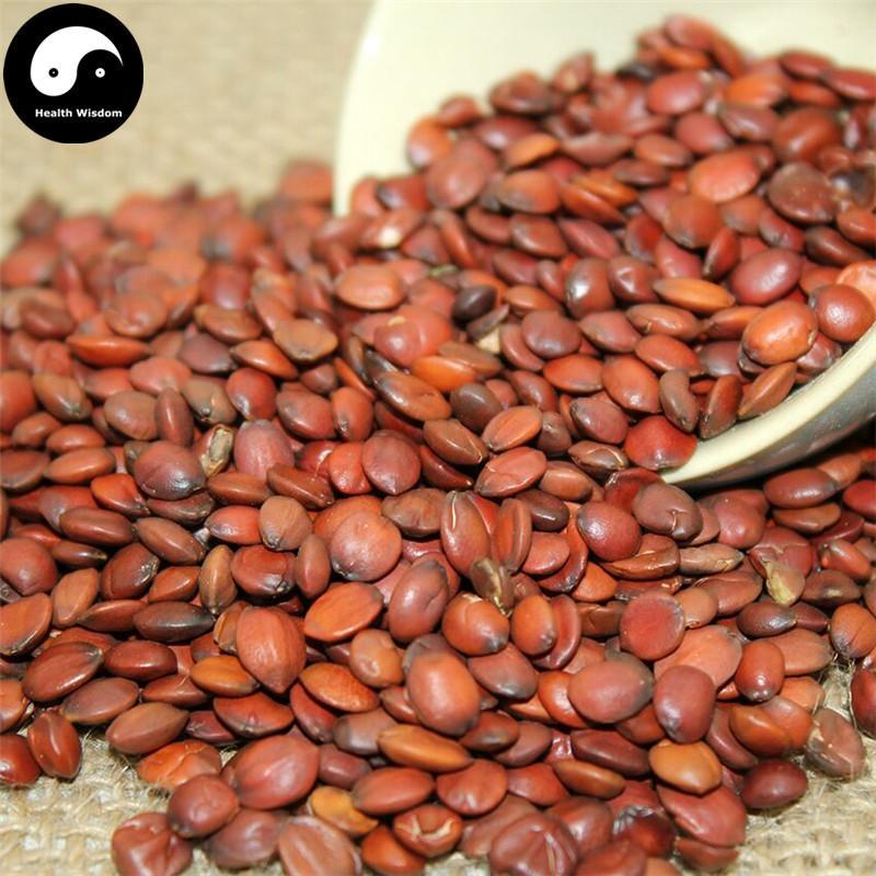 Suan Zao Ren 酸枣仁, Semen Ziziphi Spinosae, Spina Date Seed, Sour Jujube Seeds-Health Wisdom™