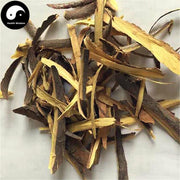 Suan Zao Shu Pi 酸枣树皮, Cortex Ziziphus Jujuba, Spine Date Bark-Health Wisdom™