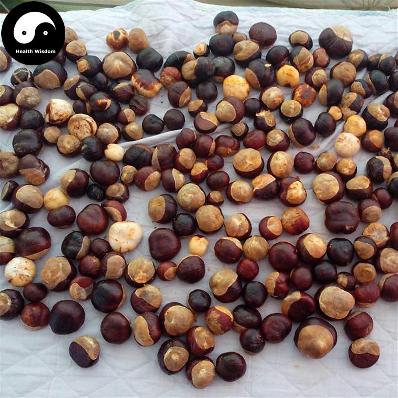 Suo Luo Zi 娑罗子, Chinese Buckeye Seed, Semen Aesculi, Su Luo Zi, Kai Xin Guo-Health Wisdom™