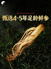 Sweet Red Ginseng Roots Slices, Honey Korean Ginseng Root, Hong Shen Mi Pian 红参蜜片-Health Wisdom™