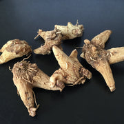 TCM Herbs Powder Bai Ji 白芨, Powder Rhizoma Bletillae, Herb Bletilla Striata Root-Health Wisdom™