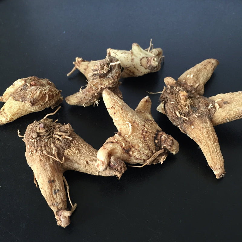 TCM Herbs Powder Bai Ji 白芨, Powder Rhizoma Bletillae, Herb Bletilla Striata Root-Health Wisdom™
