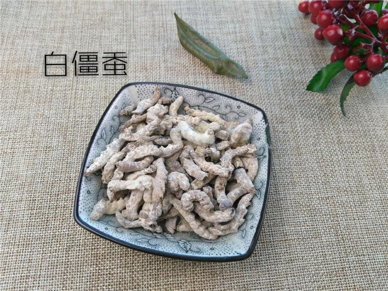 TCM Herbs Powder Bai Jiang Can 白僵蚕, Bombyx Batryticatus, Silkworm Larva, Bombyx Mori-Health Wisdom™