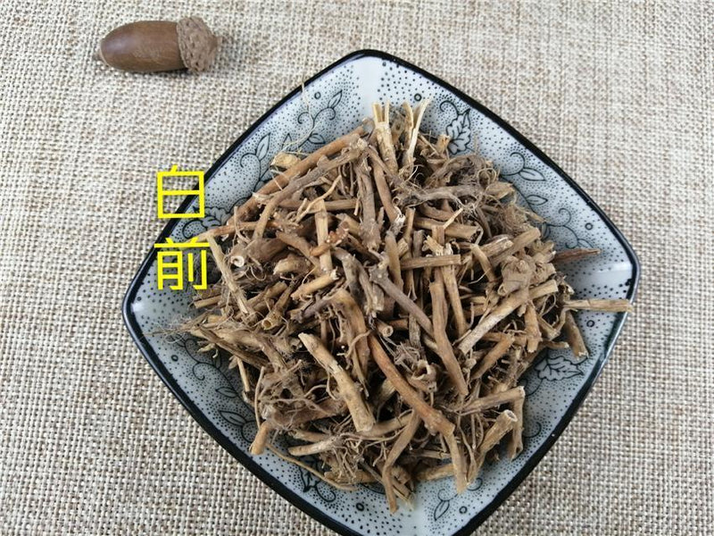 TCM Herbs Powder Bai Qian 白前, Radix Cynanchi Stauntonii, Cynanchum Glaucescens Rhizome-Health Wisdom™