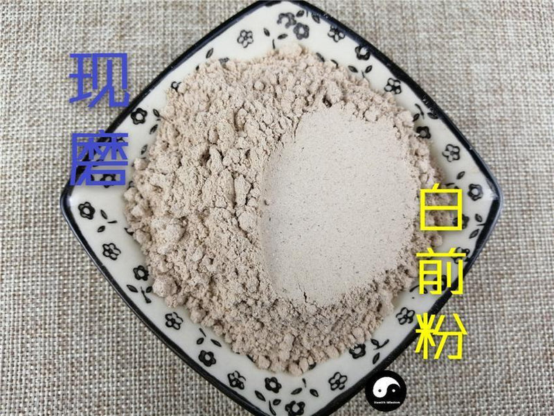 TCM Herbs Powder Bai Qian 白前, Radix Cynanchi Stauntonii, Cynanchum Glaucescens Rhizome-Health Wisdom™