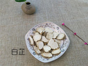 TCM Herbs Powder Bai Zhi 白芷, Radix Angelicae Dahuricae, Dahurian Angelica Root-Health Wisdom™