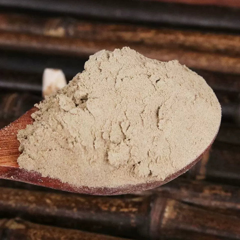 TCM Herbs Powder Ban Lan Gen 板藍根, RADIX ISATIDIS Indigotica, Isatis Indigotica Roots-Health Wisdom™