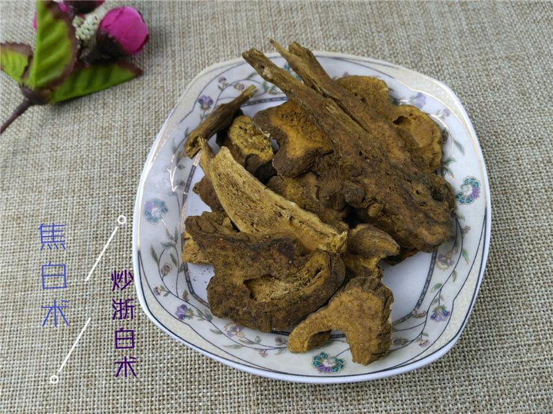 TCM Herbs Powder Chao Bai Zhu 炒白術, Baked Rhizoma Atractylodis, Largehead Atractylodes Rhizome-Health Wisdom™