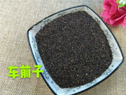 TCM Herbs Powder Chao Che Qian Zi 炒車前子, Heated Semen Plantaginis, Plantain Seed-Health Wisdom™