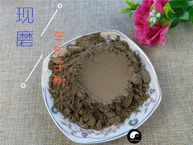 TCM Herbs Powder Chao Che Qian Zi 炒車前子, Heated Semen Plantaginis, Plantain Seed-Health Wisdom™