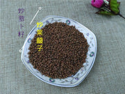 TCM Herbs Powder Chao Lai Fu Zi 炒萊菔子, Semen Raphani, Radish Seed-Health Wisdom™