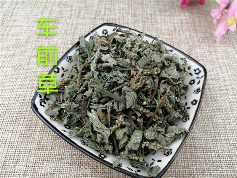 TCM Herbs Powder Che Qian Cao 车前草, Plantain Herb, Herba Plantaginis-Health Wisdom™