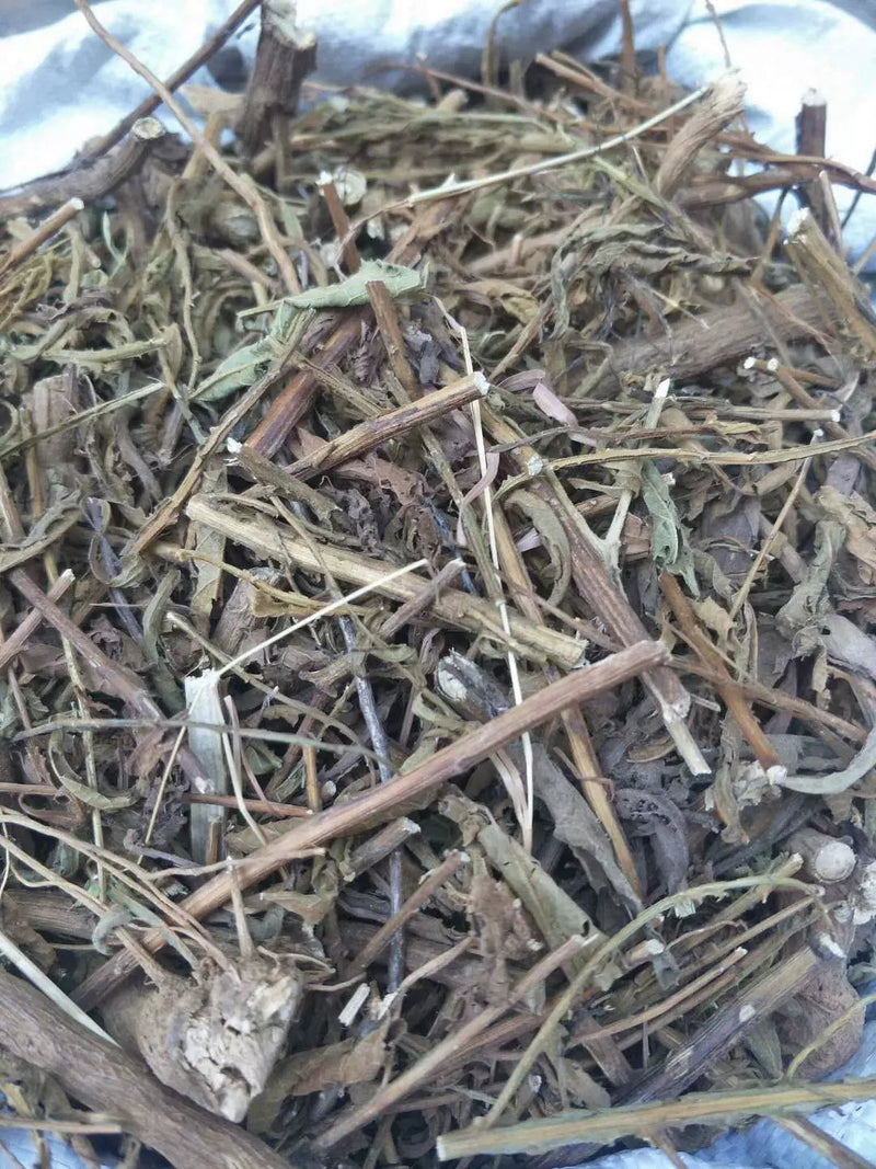 TCM Herbs Powder Chou Ling Dan Cao 臭靈丹草, Herba Laggerae, Wingedtooth Laggera Herb, Shi Zi Cao-Health Wisdom™
