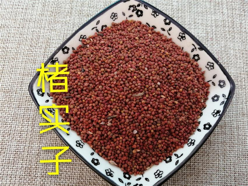 TCM Herbs Powder Chu Shi Zi 楮實子, Paper Mulberry, Fructus Broussonetiae, Papermulberry Fruit-Health Wisdom™
