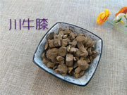TCM Herbs Powder Chuan Niu Xi 川牛膝, Radix Cyathulae, Cyathula Officinalis Kuan Root-Health Wisdom™