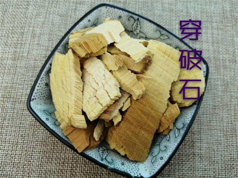 TCM Herbs Powder Chuan Po Shi 穿破石, Radix Cudraniae, Cochinchina Cudrania Root, Zhe Gen-Health Wisdom™