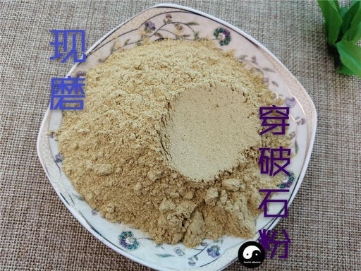 TCM Herbs Powder Chuan Po Shi 穿破石, Radix Cudraniae, Cochinchina Cudrania Root, Zhe Gen-Health Wisdom™