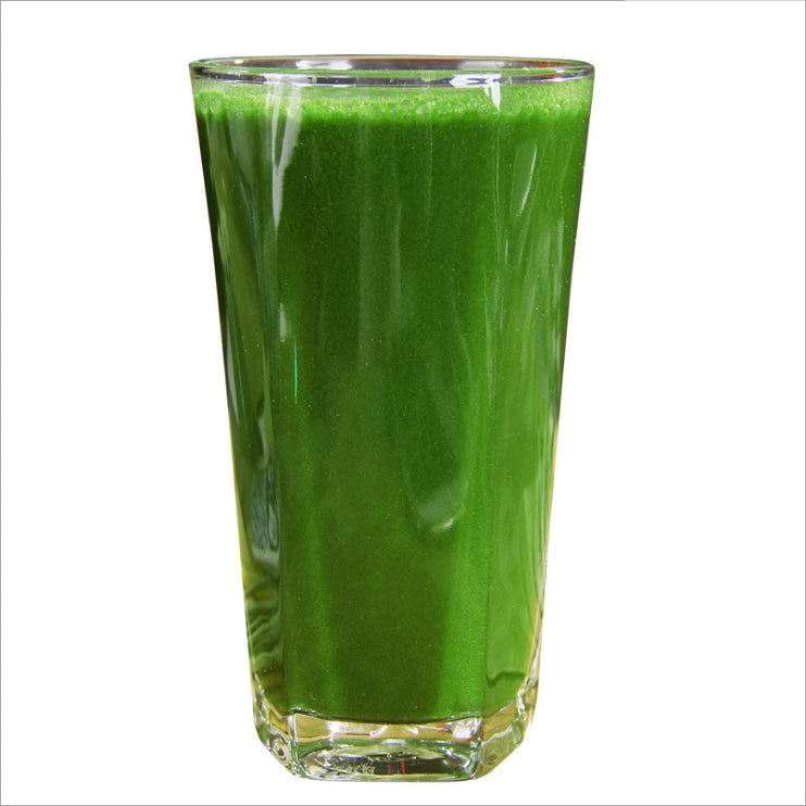 TCM Herbs Powder Da Mai Miao Fen 大麦苗粉, Barley Seedling Powder, Hordeum Vulgare, Barley Leaf-Health Wisdom™