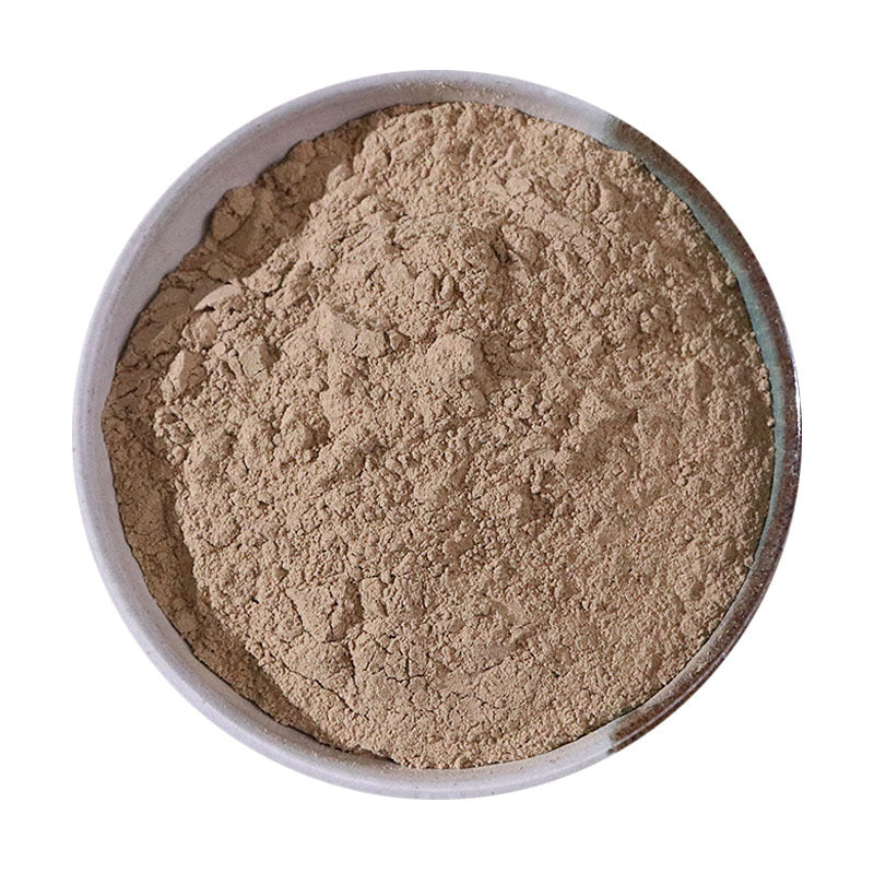 TCM Herbs Powder Fang Feng 防風, Radix Saposhnikoviae, Divaricate Saposhnikovia Root-Health Wisdom™
