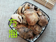 TCM Herbs Powder Fang Hai 方海, Crab Shell-Health Wisdom™