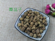 TCM Herbs Powder Fu Pen Zi 覆盆子, Fructus Rubi, Palmleaf Raspberry Fruit-Health Wisdom™