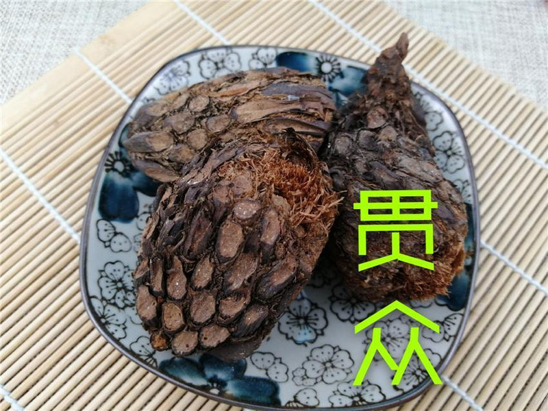 TCM Herbs Powder Guan Zhong 貫眾, Cyrtomium Rhizome, Rhizoma Cyrtomii, Guan Jie-Health Wisdom™