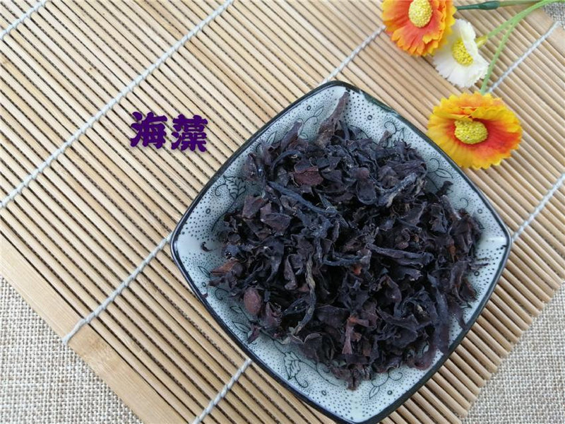 TCM Herbs Powder Hai Zao 海藻, Sargassum, Seaweed, Herba Sargassii-Health Wisdom™