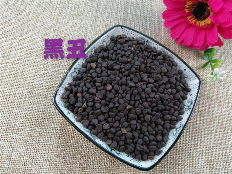 TCM Herbs Powder Hei Chou 黑丑, Qian Niu Zi, Black Semen Pharbitidis, Pharbitis Seed-Health Wisdom™