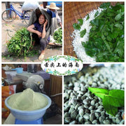 TCM Herbs Powder Ji Shi Teng Ye 鸡矢藤叶, Chinese Fevervine Herb Leaf, Herba Paederiae Leaves-Health Wisdom™