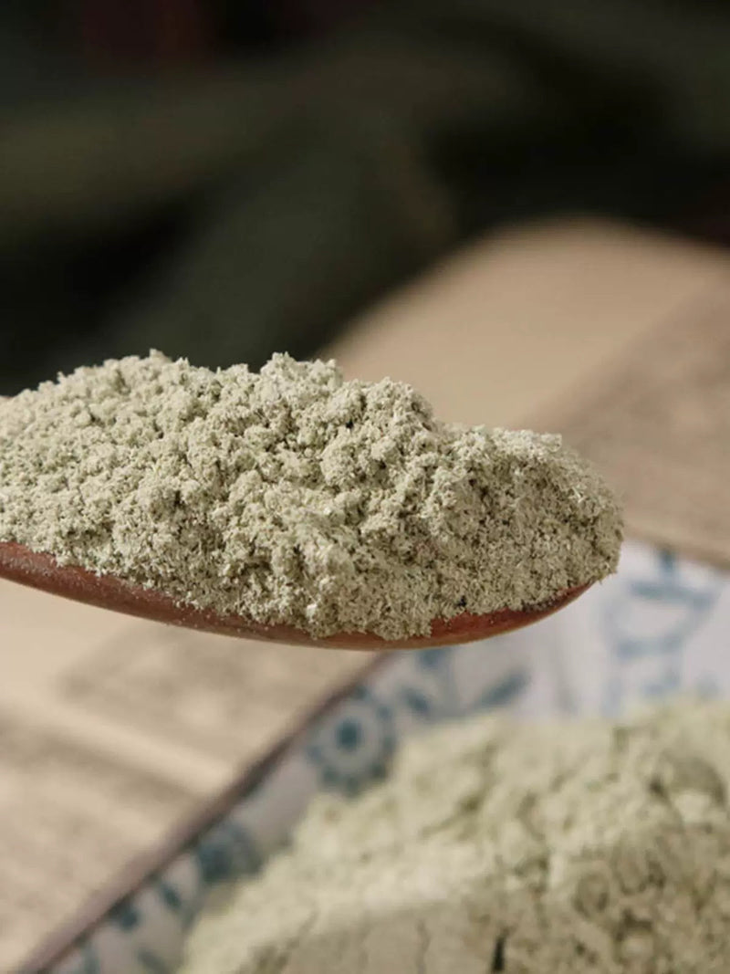 TCM Herbs Powder Jin Qian Cao 金钱草, HERBA LYSIMACHIAE, Lysima Chiachristinae Hance-Health Wisdom™