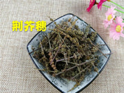 TCM Herbs Powder Jing Jie Sui 荊芥穗, Herba Schizonepetae Fineleaf, Schizonepeta Herb, Jie Sui-Health Wisdom™