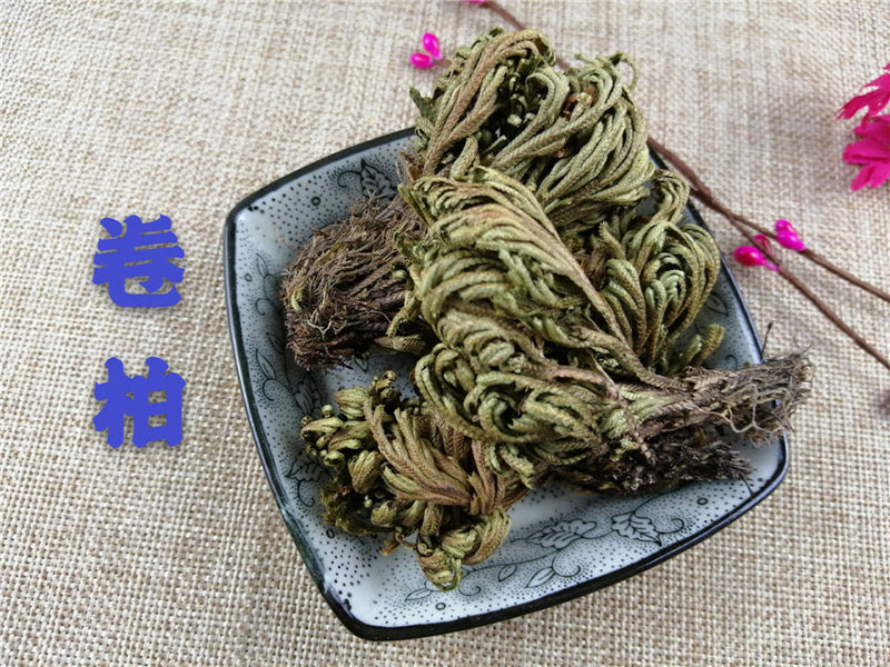 TCM Herbs Powder Juan Bai 卷柏, Tamariskoid Spikemoss Herb, Herba Selaginellae, Shi Bai-Health Wisdom™