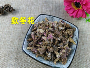 TCM Herbs Powder Kuan Dong Hua 款冬花, Flos Tussilago Farfarae, Common Coltsfoot Flower-Health Wisdom™