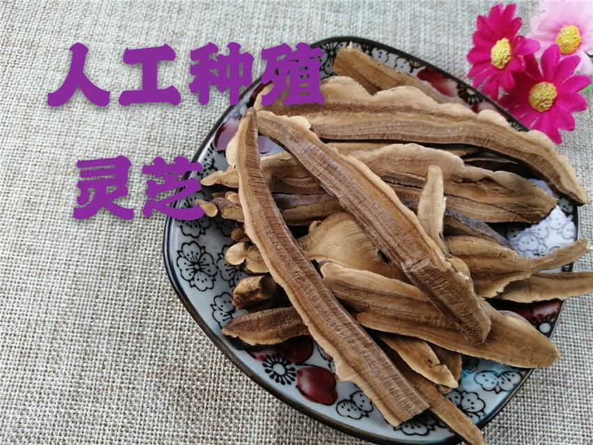 TCM Herbs Powder Ling Zhi 灵芝, Reishi Mushroom, Ganoderma Lucidum-Health Wisdom™
