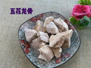 TCM Herbs Powder Long Gu 龍骨, Ossa Draconis, Fossil fragments, Os Draconis-Health Wisdom™