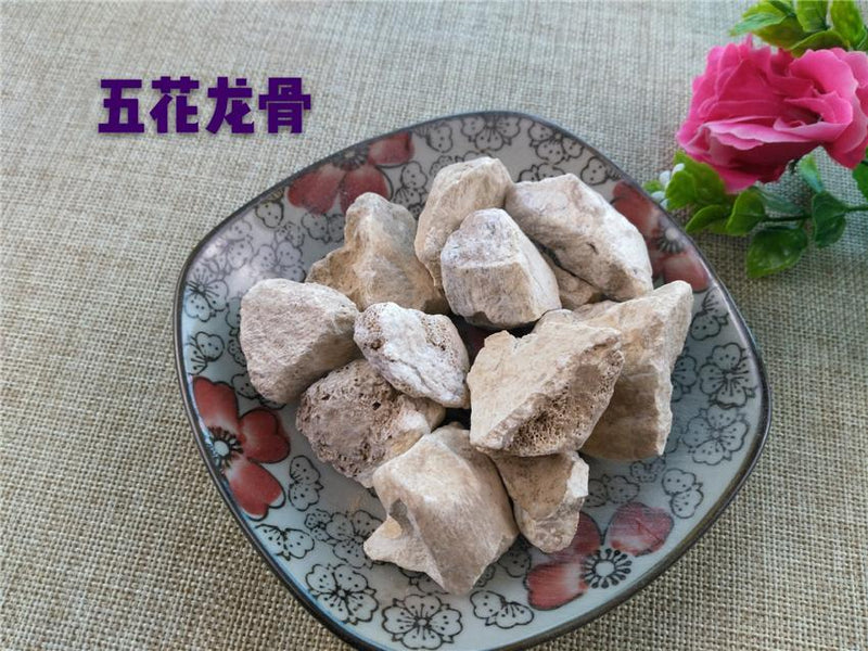 TCM Herbs Powder Long Gu 龍骨, Ossa Draconis, Fossil fragments, Os Draconis-Health Wisdom™