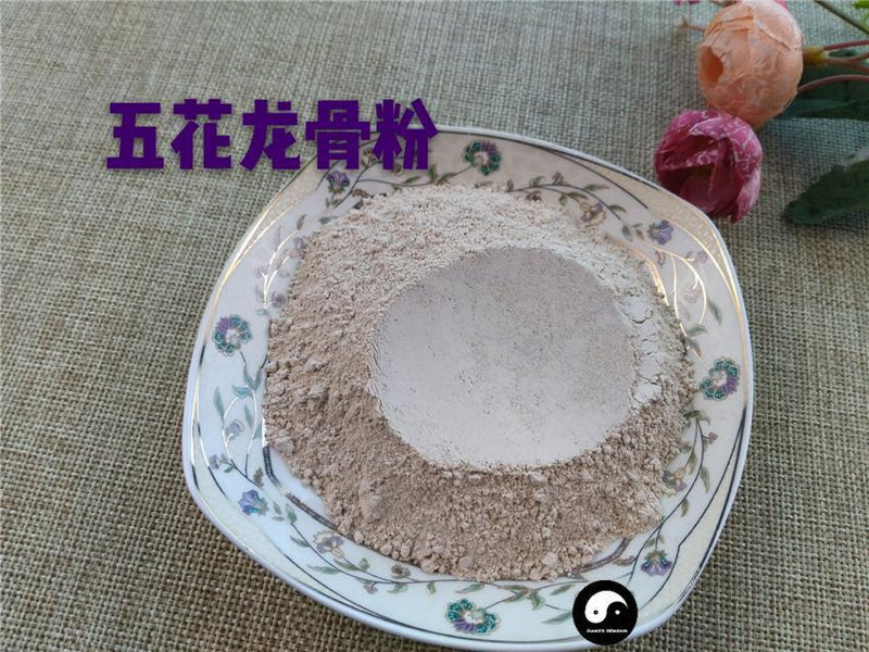 TCM Herbs Powder Long Gu 龍骨, Ossa Draconis, Fossil fragments, Os Draconis-Health Wisdom™