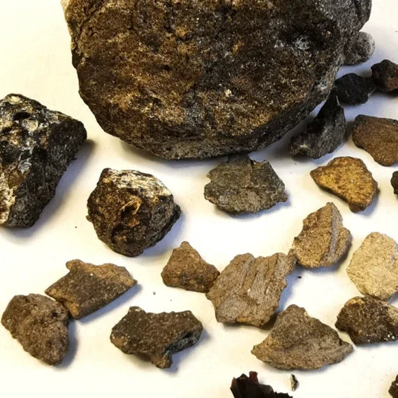 TCM Herbs Powder Long Xian Xiang 龙涎香, Ambergris, Physeter Catodon-Health Wisdom™