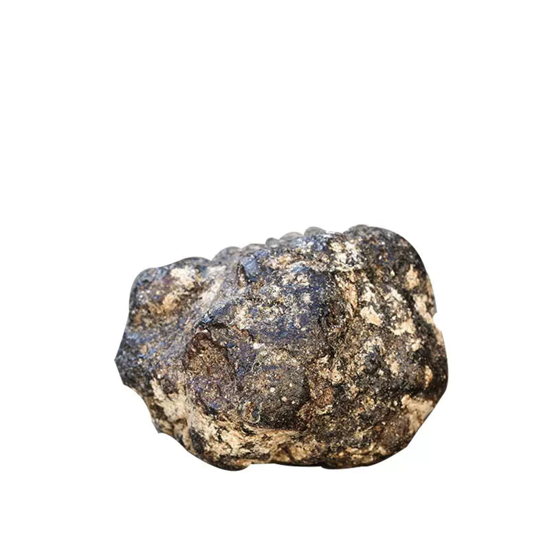 TCM Herbs Powder Long Xian Xiang 龙涎香, Ambergris, Physeter Catodon-Health Wisdom™