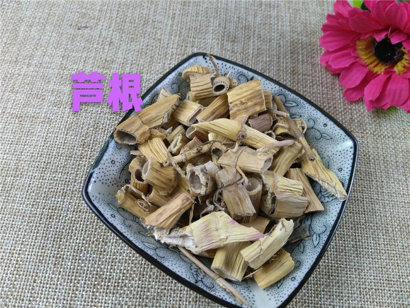 TCM Herbs Powder Lu Gen 蘆根, Rhizoma Phragmitis, Common Reed Rhizome-Health Wisdom™