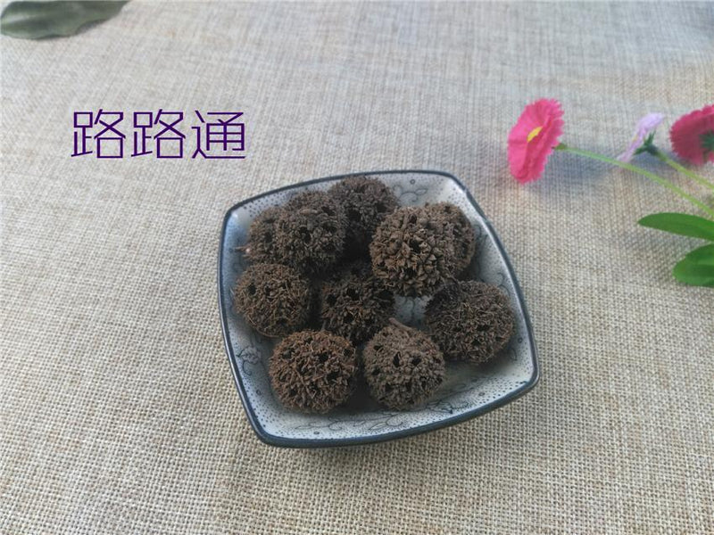 TCM Herbs Powder Lu Lu Tong 路路通, Beautiful Sweetgum Fruit, Fructus Liquidambaris-Health Wisdom™
